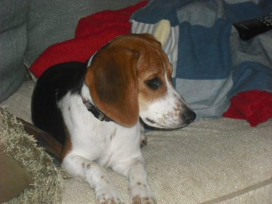 photo of Jennifer L.