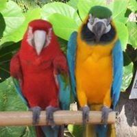 photo of Marjorie M.