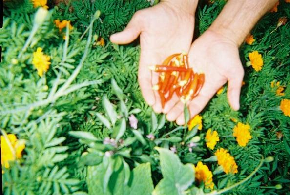 photo of Elizabeth V.