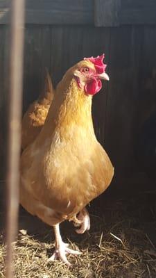 Photo of Julie D.