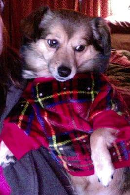 photo of Mrs Adrienne S.