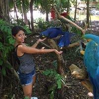 Photo of Nathalia T.