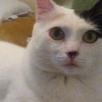 Photo of Lisa K.