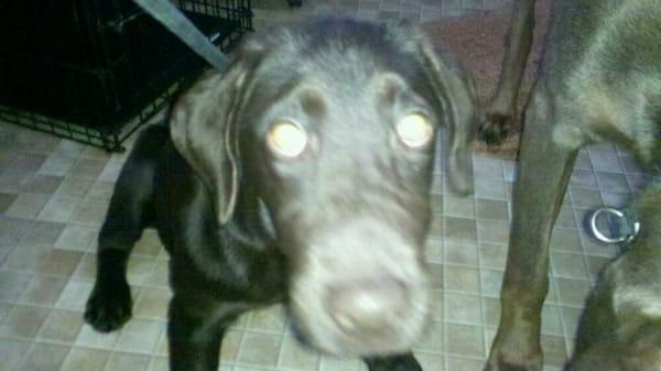 Photo of Blue B.