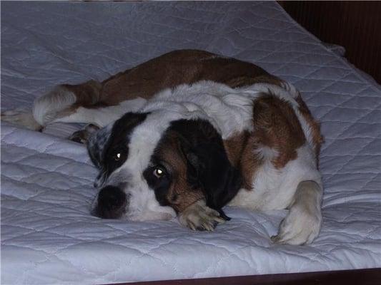 Photo of Robbin D.