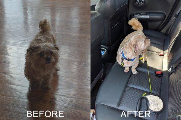 Woodstock Pet Grooming