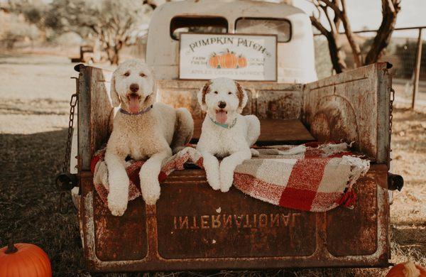 Ashley Stone Photography