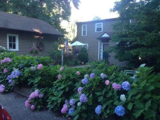 The Rosemary Alan Dale House