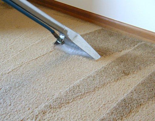 MTC Carpet Cleaning