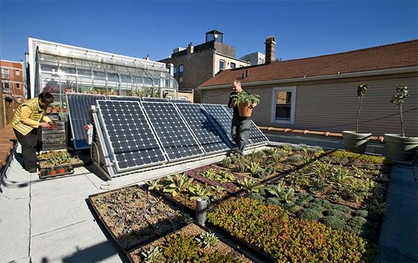 Bay Ecological Design