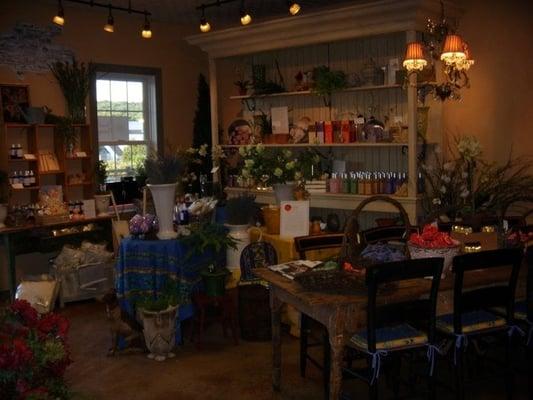 Flore, Flowers as Medicine