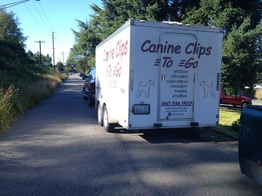 Roadblock & dirty chemical drainage out the back :(