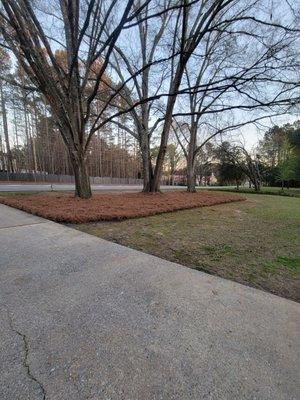 Joel & Brothers Landscaping Services