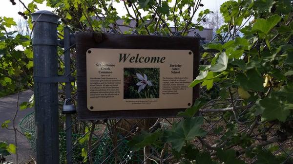 Schoolhouse Creek Common