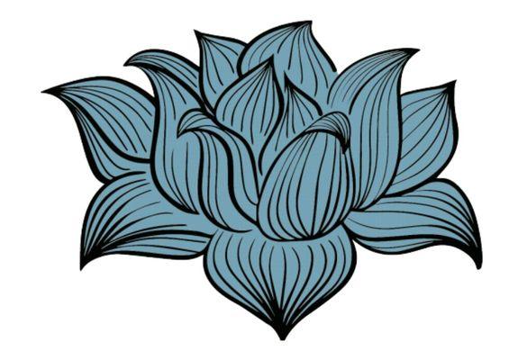 Blue Lotus Skin Care Specialist