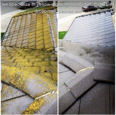 Amazing Power Washing & Windows Cleaning Services