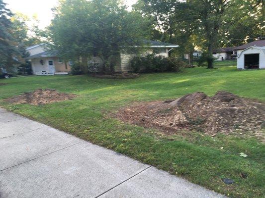 Top Notch Tree Service