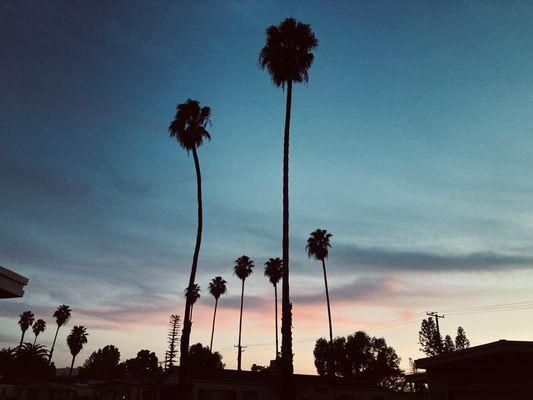 The Cumbre plaza parking lot