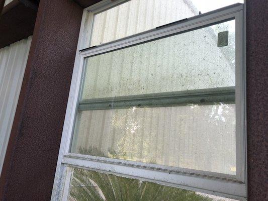 Pelican Island Cleaning