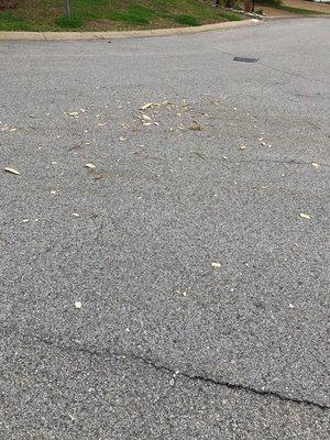 B and B Tree Service