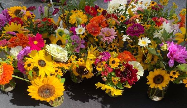 Balanced Harvest Farm