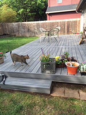 D W Hart Woodworking