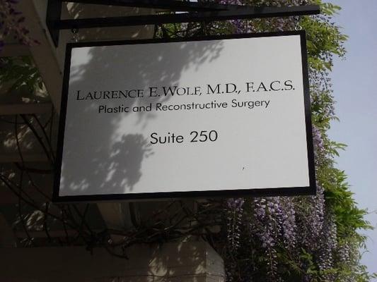 Laurence E Wolf, MD