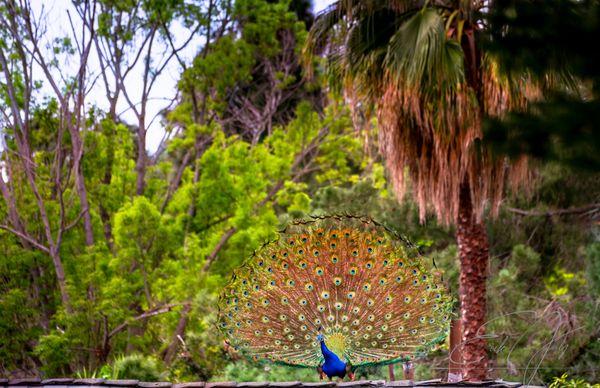 Erik Jay Photographer