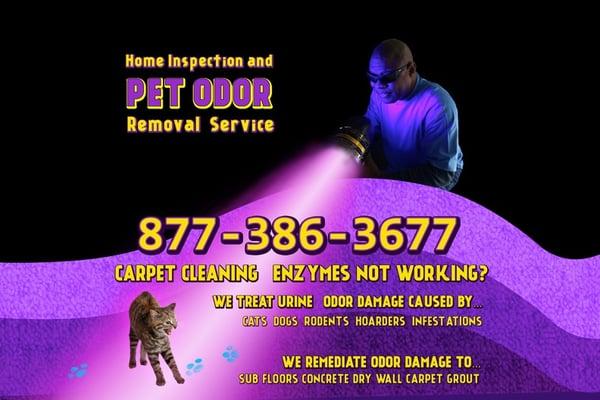 Ventura Pet Odor Removal Service