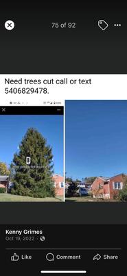 Climbers Tree Service At The Lake