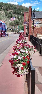 Central City Government