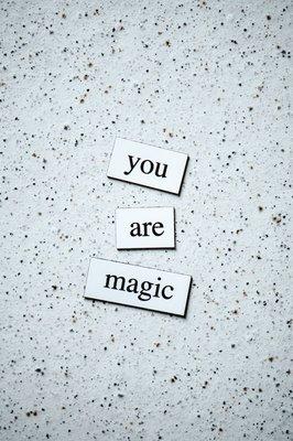 The Phenomenal Phoenix