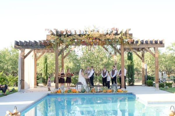 Almond Blossom Events