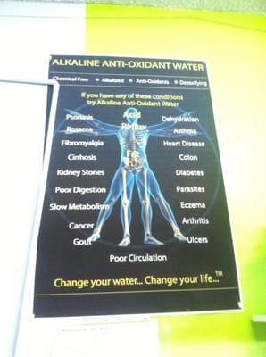 CENTRO NATURISTA EL ANGEL DEL VALLE