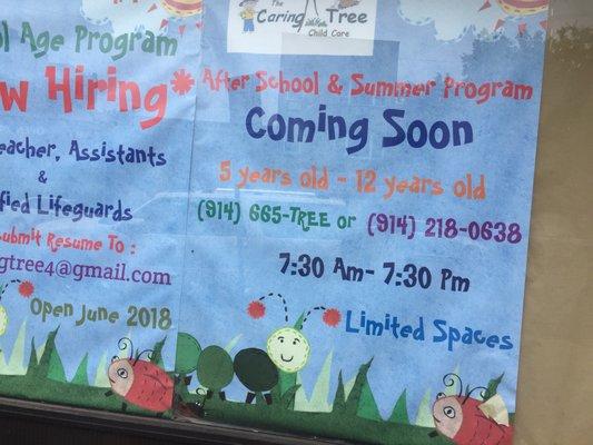 The Caring Tree Child Care