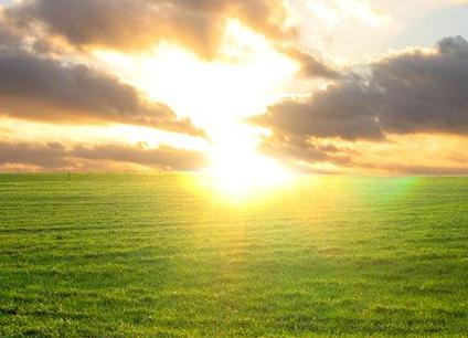 Ole Von Frausing-Borch, LMFT