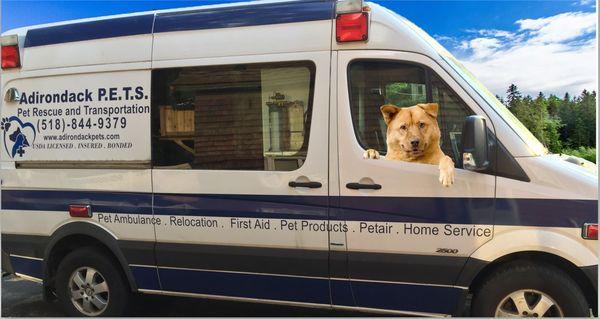 Adirondack Pet Transportation Services
