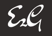 E2G IT Consulting
