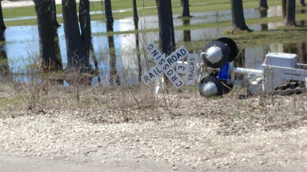 HELP!! I've fallen and I can't get up LOL located right there by the highway 47 Solae Gibson City plant