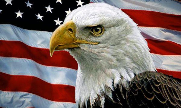 Veterans Outreach Coalition