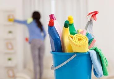 Rosa's Cleaning Service