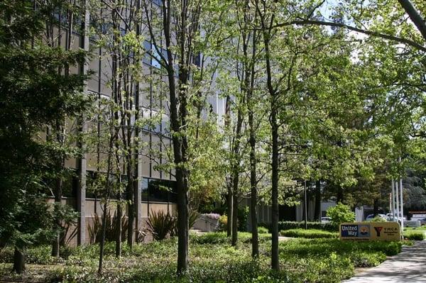 United Way of Silicon Valley