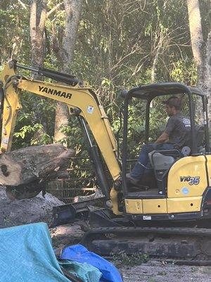 Kingston's Tree Service