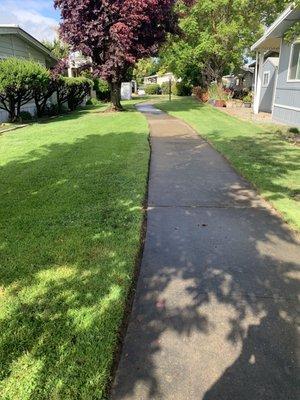 The walking trail through the community.