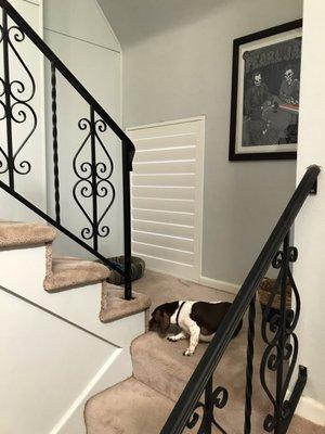 Superior Custom Shutters