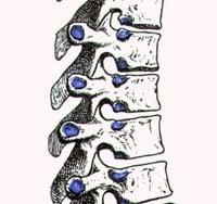 Nicholson Chiropractic Center