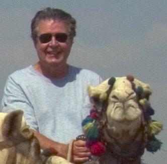 Blue Chip Inventory Service