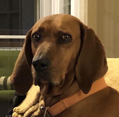 Mo's Boots & Outdoor Gear