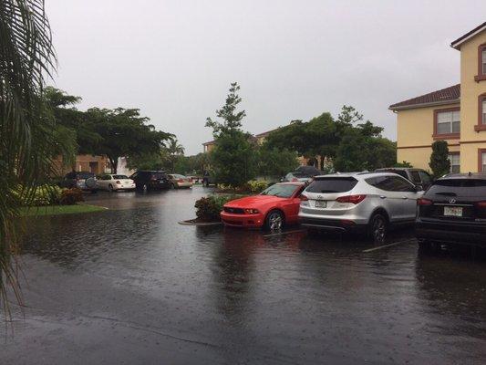 The Gardens At Beachwalk