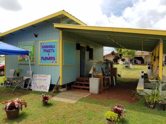 Anahola Fruits and Flowers
